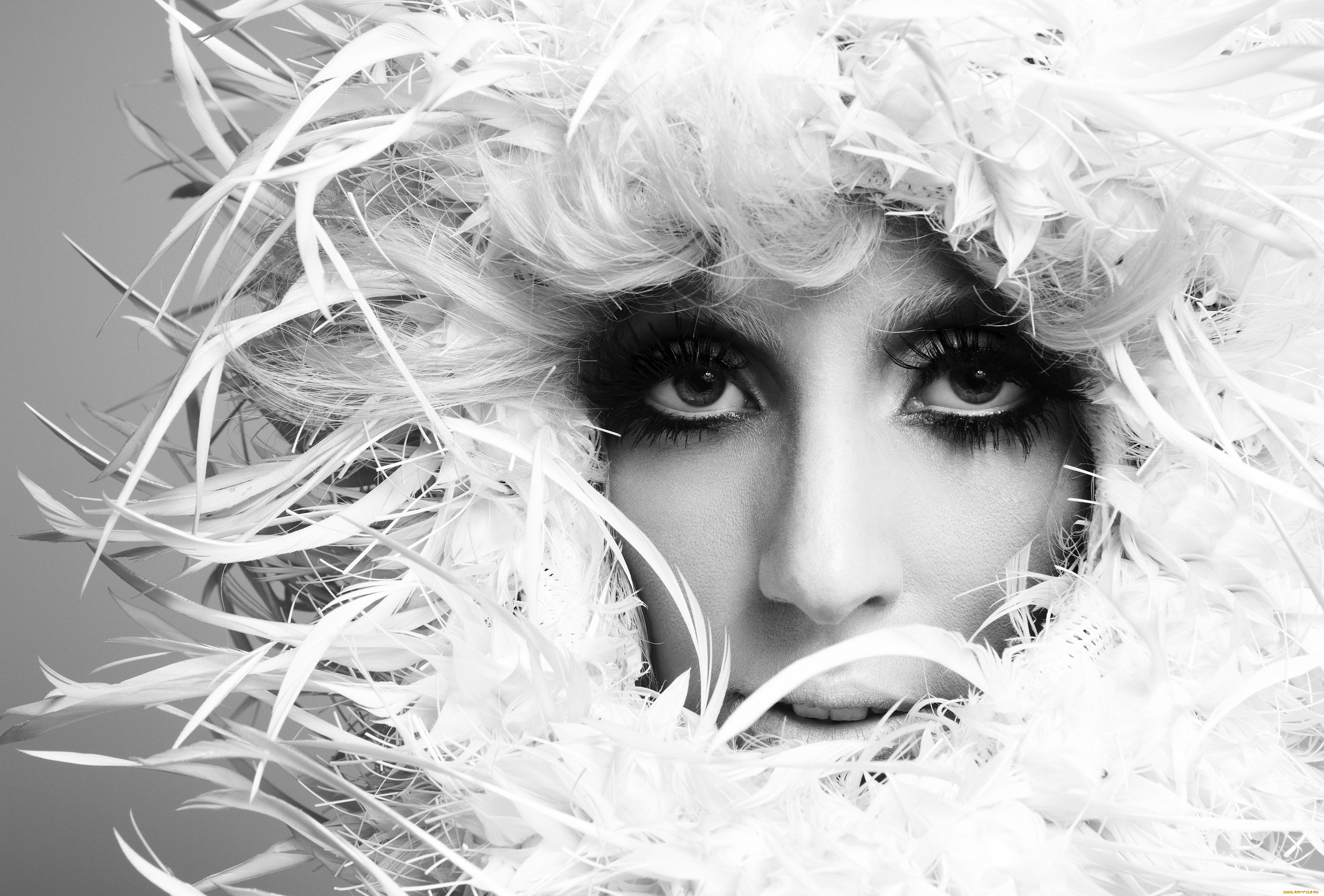 , lady gaga, , , , 